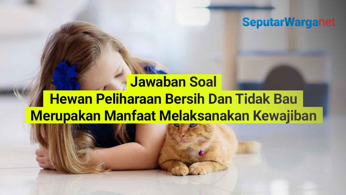Hewan-Peliharaan-Bersih-Dan-Tidak-Bau-Merupakan-Manfaat-Melaksanakan-Kewajiban